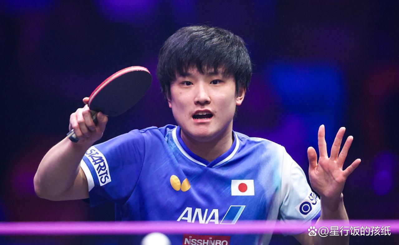 奥地利队绝杀英格兰队，张本智和高光表现