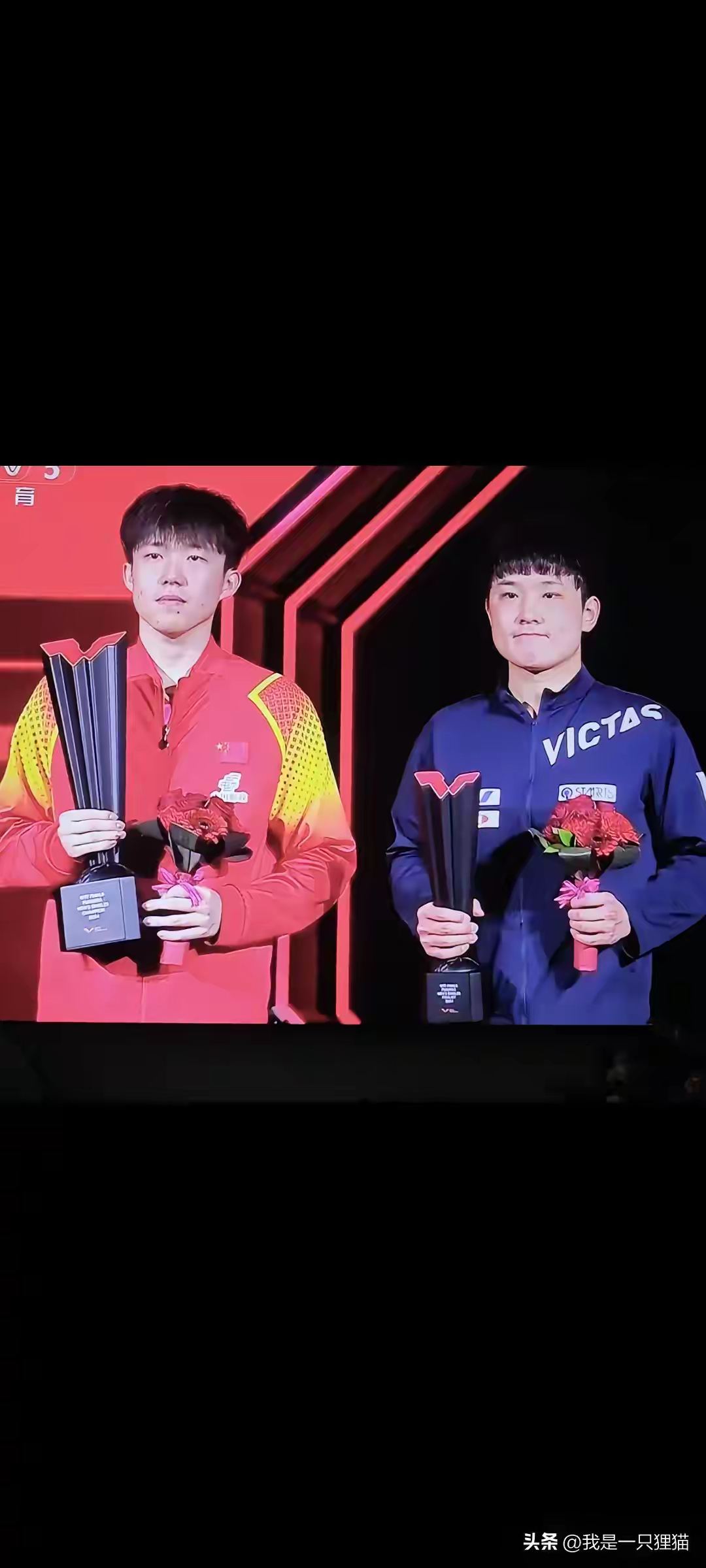 奥地利队绝杀英格兰队，张本智和高光表现